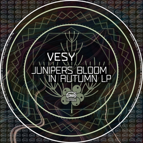 Vesy - Junipers Bloom In Autumn LP [TZHA009]